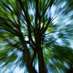 Hypnose-Paket: Ihr Weg zu innerer Stärke und Veränderung