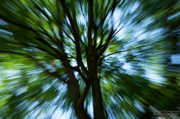 Hypnose-Paket: Ihr Weg zu innerer Stärke und Veränderung