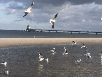 Die kleine Auszeit - Leichtigkeit - April 25