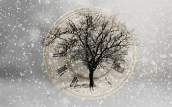 Die kleine Auszeit - Wünsche, Ziele und Träume - Jan 26