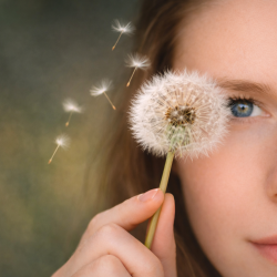 Die kleine Auszeit  "Ein Augenblick"  am 06.05.2026